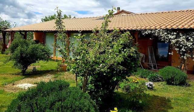 Beautiful straw bale house between organic vineyards and olive grove