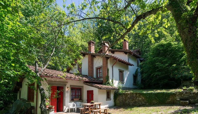 Beautiful vacation home