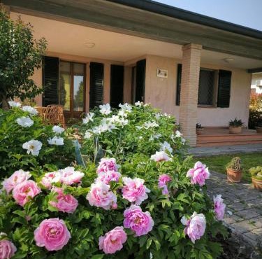 Bed and Breakfast La Contessa