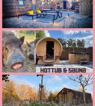 Bed & Wellness Pigs and Pillows with private hottub and sauna and tandembike rental included in price near Amsterdam