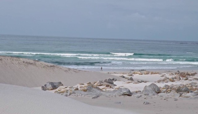Betty's Bay- home to Stony Point penguin colony, and the Kogelberg Biosphere