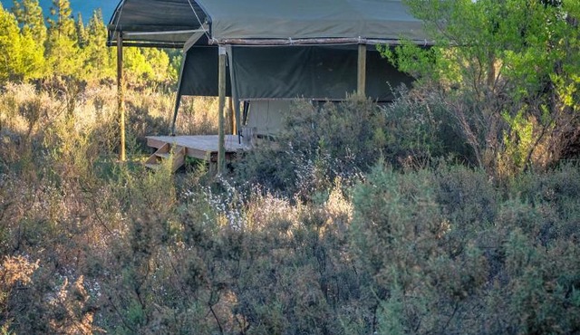 Bike Forge Glamping