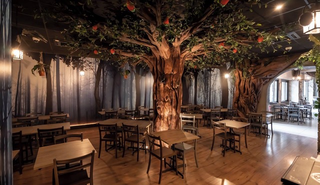 Binario Magic Hotel