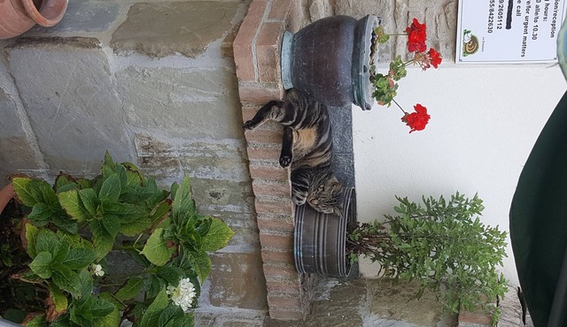 Borgo la Fratta holiday home apartment 1
