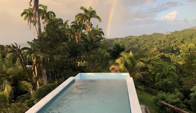 Breathtaking boho chic rainforest retreat perfect couples hideaway