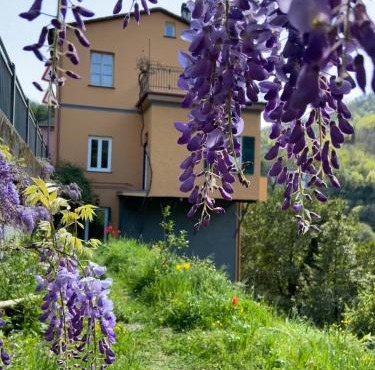 C'era un Voltino Guest House