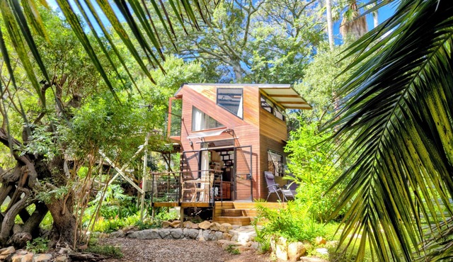 Cabin in the woods
