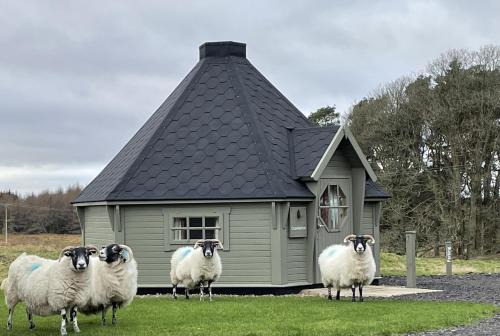 Caerketton Cabin