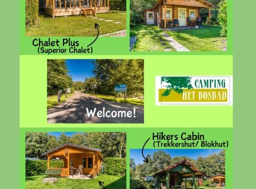 Camping het Bosbad