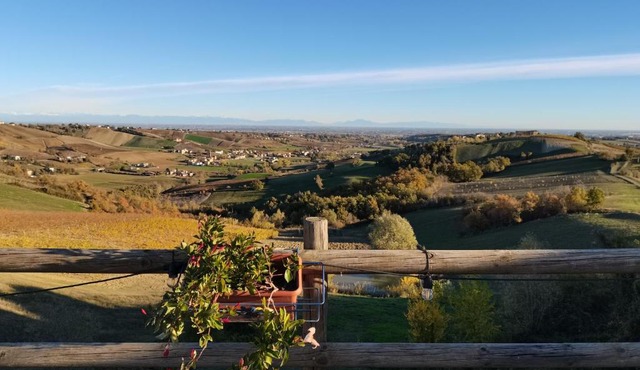 Cantina Visconti - Agriturismo