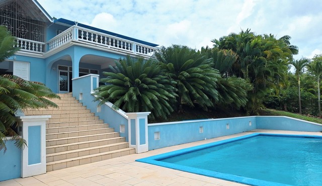 Caribbean luxurious comfort. Contemporary house, private garden and pool