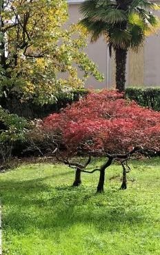 Casa Azalea