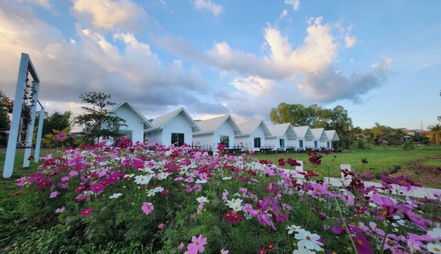 Casa Camp