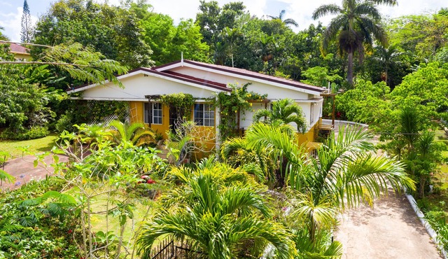 Casa da Buena Vista