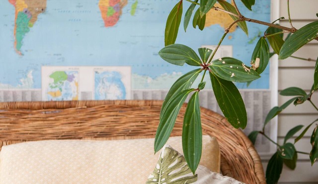 Casa da Buena Vista Apt 2, |4 Mins from NCU/town | Business Traveller Ready