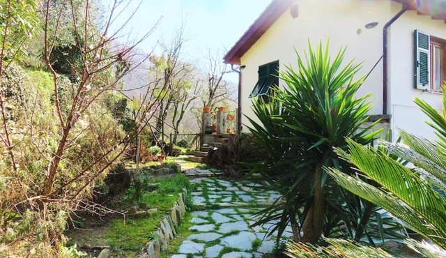 casa di arya CODICE CITRA LT-0043