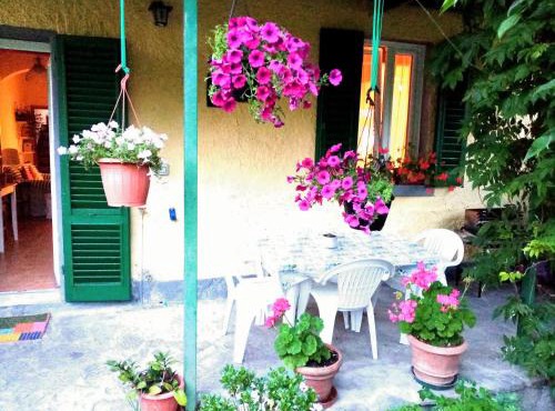casa minnie