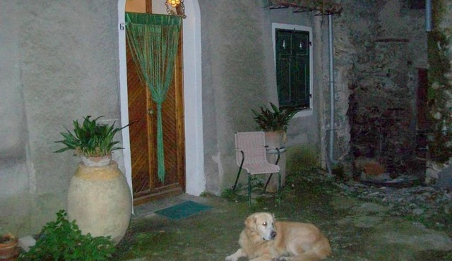 Casa Nemo