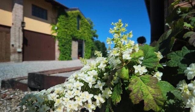 Casa Rifugio Parma