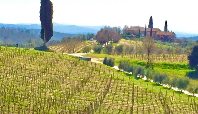 Casa Rossella,charming house in historical Chianti Estate ,private pool