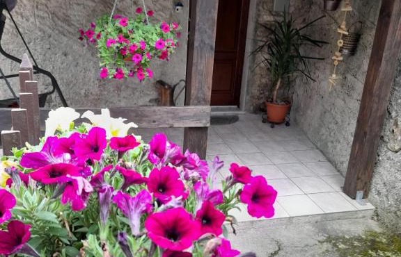 Casa vacanze Alloro