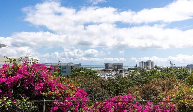 Charming 2BR Retreat in North Ward with views