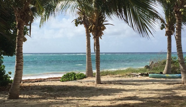Charming Beachfront House and Cottage on the East End of St. Croix