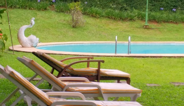 Charming chalets in Araras with pool, sauna and mountain views.