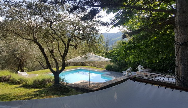 Charming vacation home with private pool, sun deck and olive grove