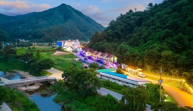 Chuncheon Namiseom pet Friendly Pension