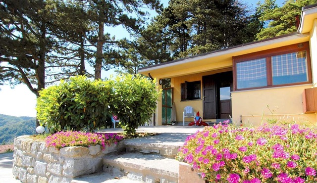 Comfortable home with terrace, located in nature