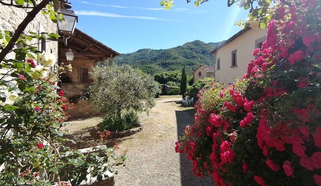 Comfy home in San Godenzo with Lake nearby