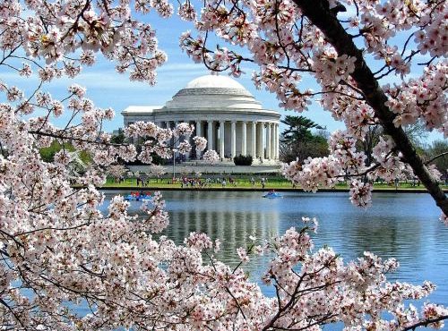Convenient Studio Apartment in Shepherd Park, DC
