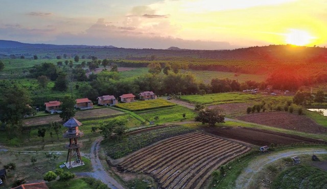 COOLLiving Farmhouse Organic