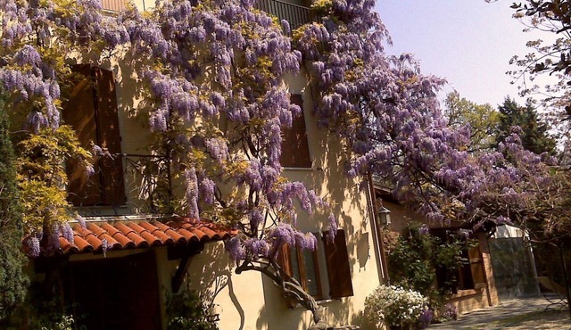 Country Hotel Le Querce