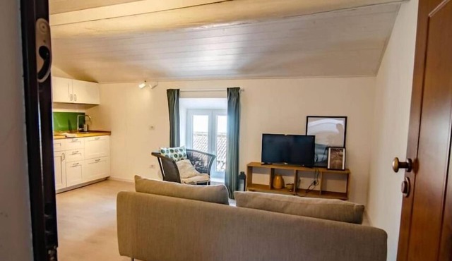 Court1 Downtown apartment with free parking
