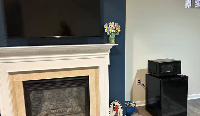 Cozy 1-bedroom apartment with fireplace, WiFi in Washington for single traveler