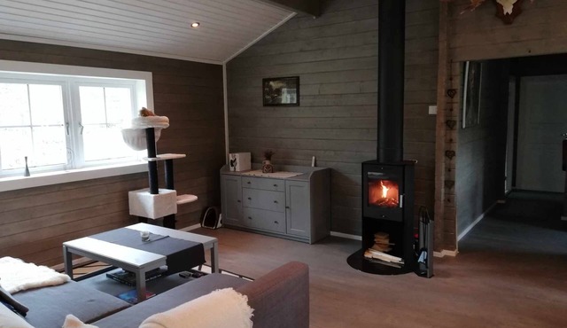 Cozy Cabin Near Trysil
