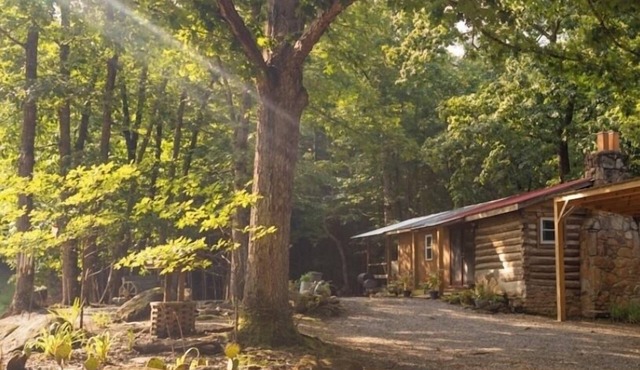 Cozy Cabin w/Hot-Tub In The Beautiful Mountains of North Carolina, Pet Friendly!