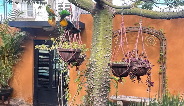 Cozy Casa Ceiba,Charming 2-bedroom house with WiFi, AC in brilliant Tepic