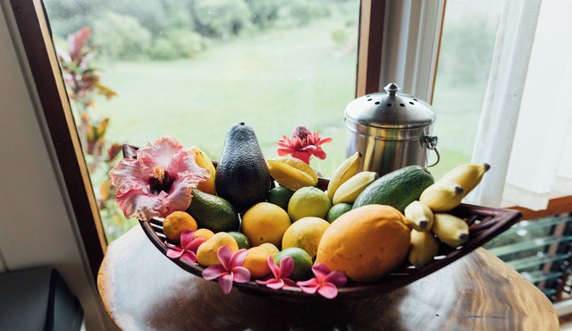 Cozy cottage nestled on our 5 acre Organic fruit farm