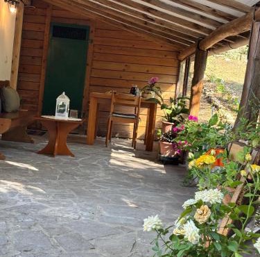 Cozy house in the Chianti region