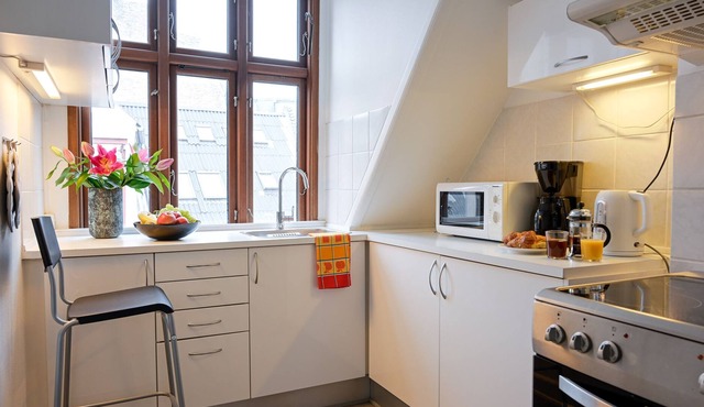 Cozy One-bedroom Apartment in Copenhagen Downtown