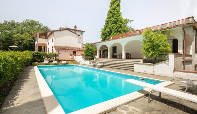 Deodara in Santa Maria a Monte , Toscana