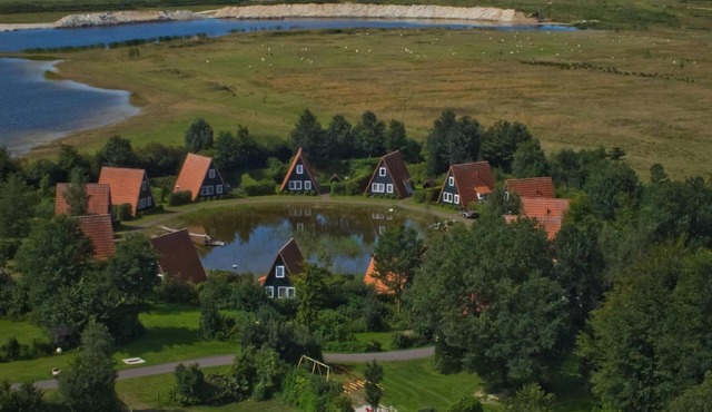 Detached Chalet in Tranquil Dutch Countryside