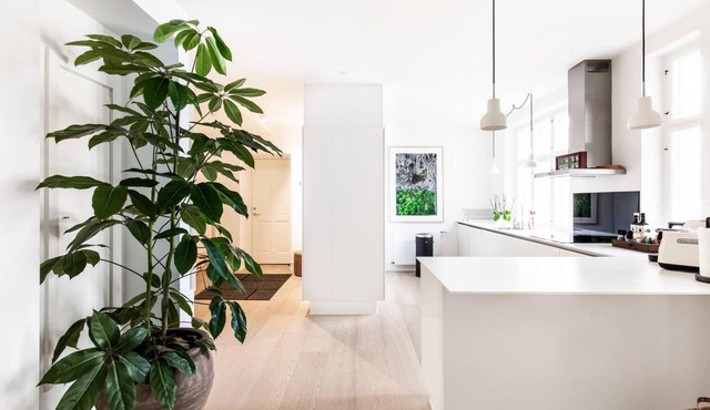 Dinesen Collection Condo by Royal Theatre