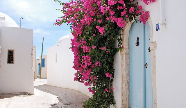 DISTINGUISHED HISTORICAL GUEST HOMES W PRIVATE POOLS. ERRIADH, DJERBA
