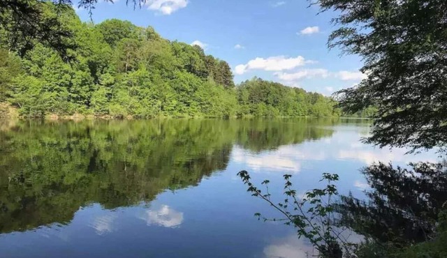 Dog-Friendly Lakeside Escape w/Hammock & Fire Pit