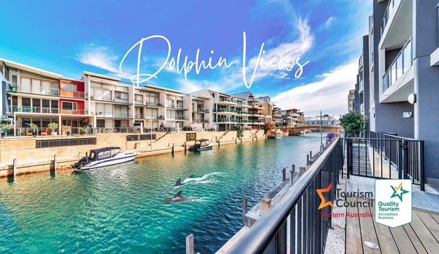 Dolphins At Your Balcony ⎈ Waterfront Home ~ Dolphin Quay