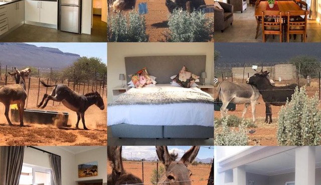 Donkieshoek Accommodation & Campsite, Calvinia